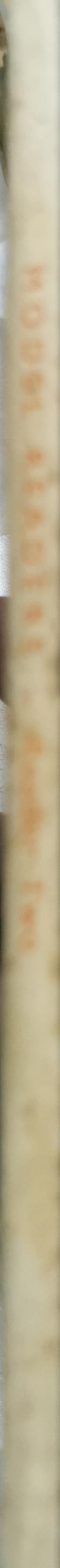 Model Readers: Reader Two