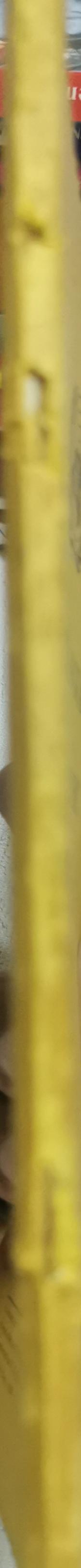 Multilingual Demographic Dictionary: English Section