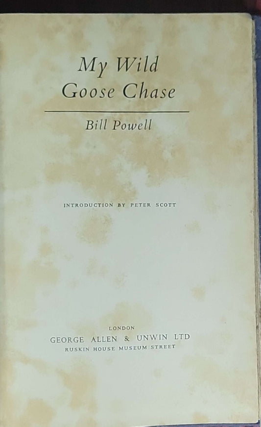 My Wild Goose Chase