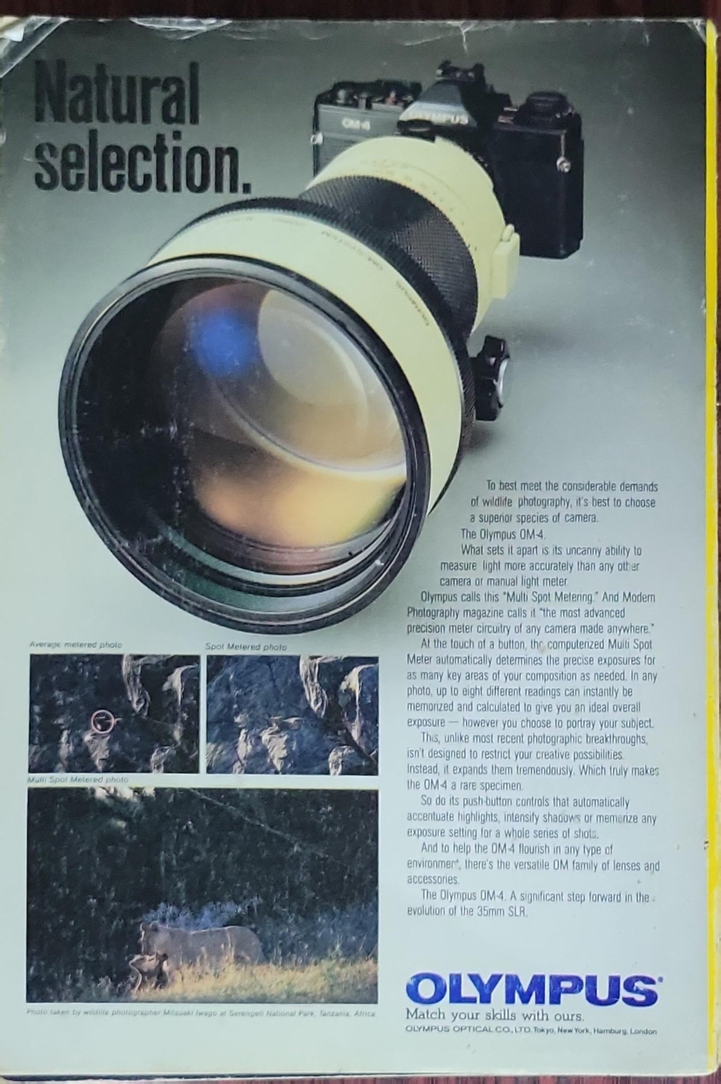 National Geographic Magazine - November 1984 - Vol. 166 No. 5.