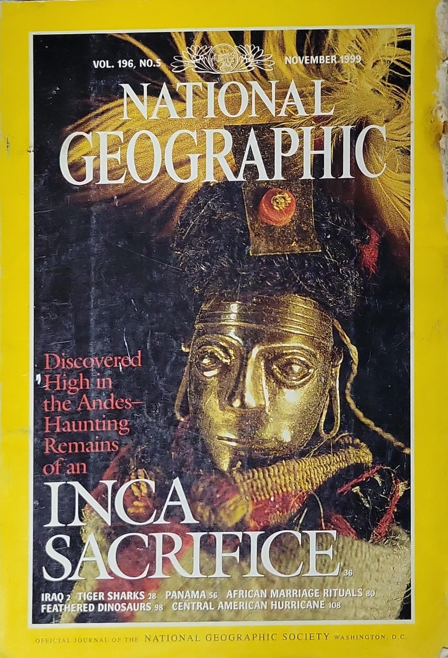 NATIONAL GEOGRAPHIC: November 1999 • Vol. 196, No. 5