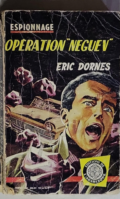 Opération Néguev
