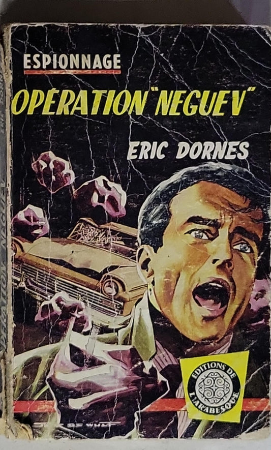 Opération Néguev