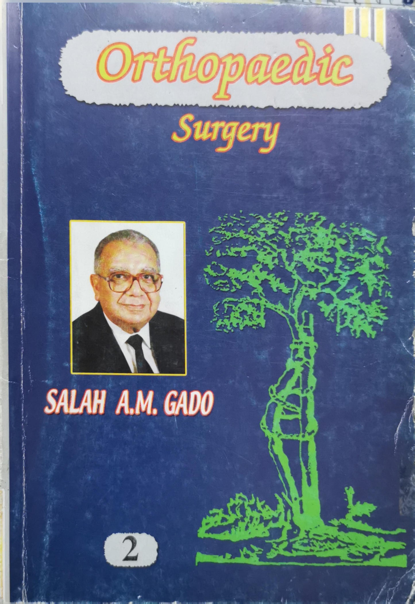 Orthopaedics: Science and Practice Volume 2 By Salah A.M. Gado