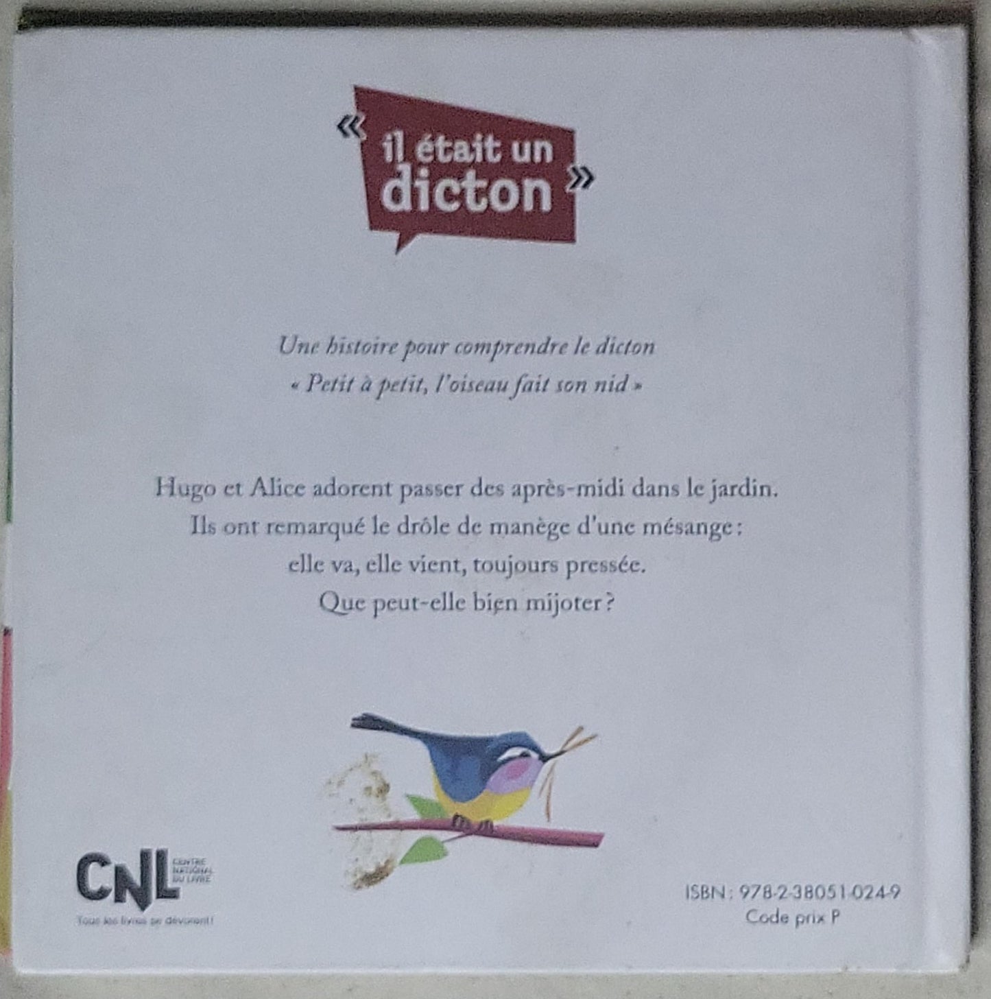 Petit à petit, l'oiseau fait son nid
