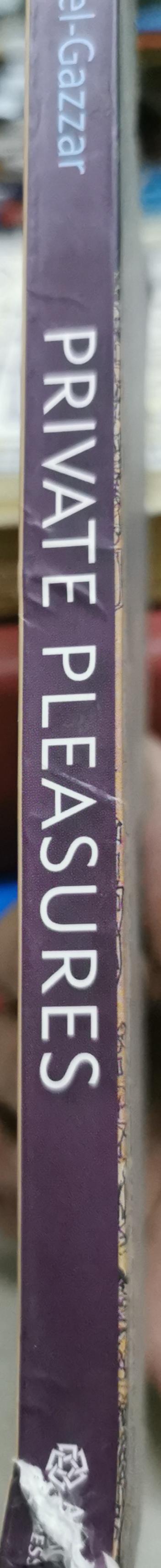 Private Pleasures By Hamdy el-Gazzar