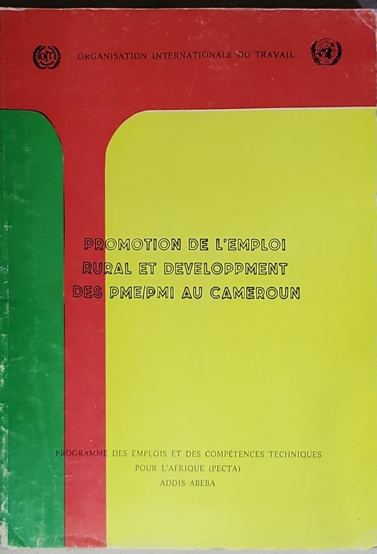Promotion de l'emploi rural et developpement des PME/PMI au Cameroun: Programme des emplois et des compétences techniques pour l'Afrique (PECTA) – Addis Abeba
