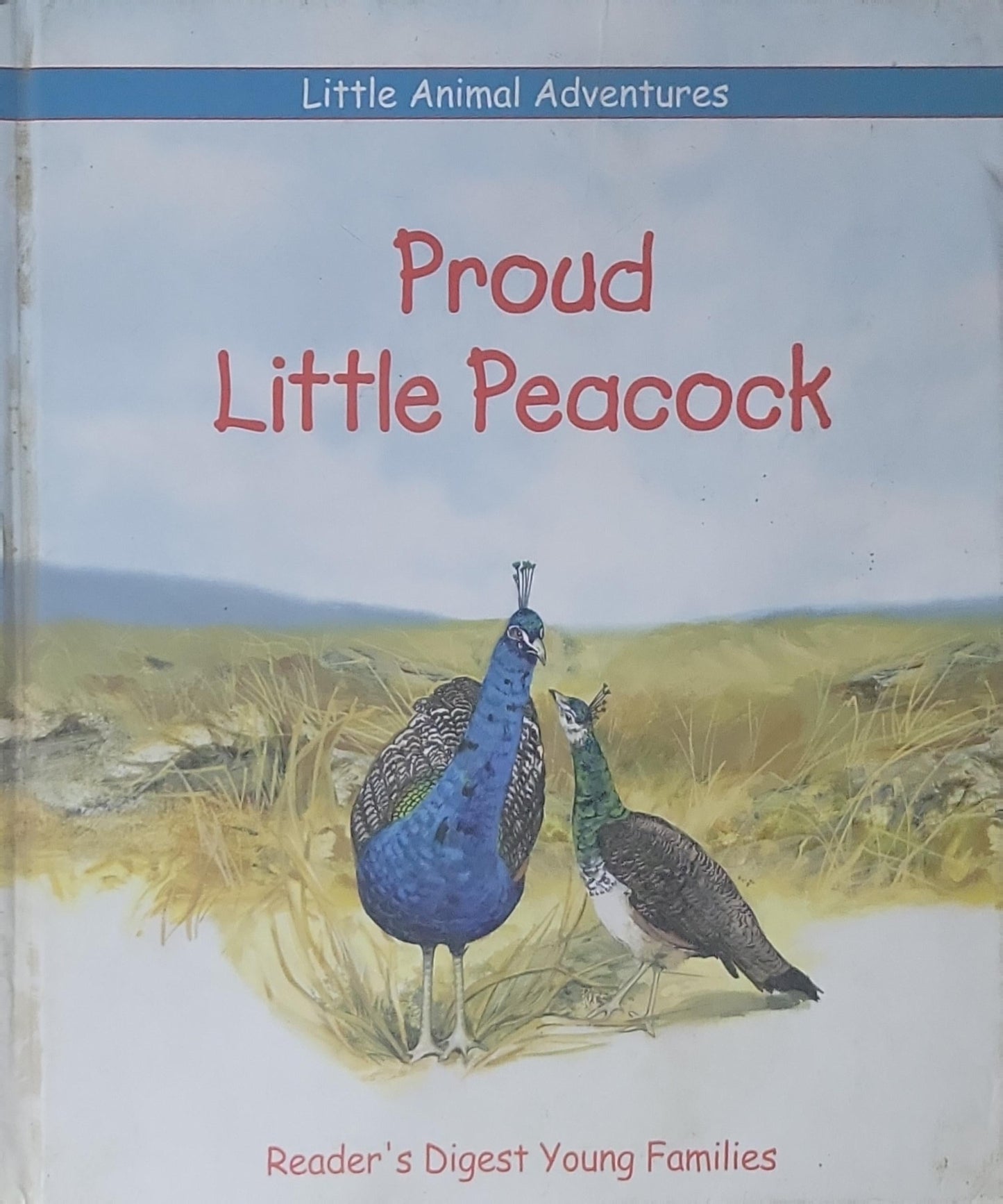 Proud Little Peacock