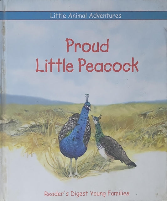 Proud Little Peacock