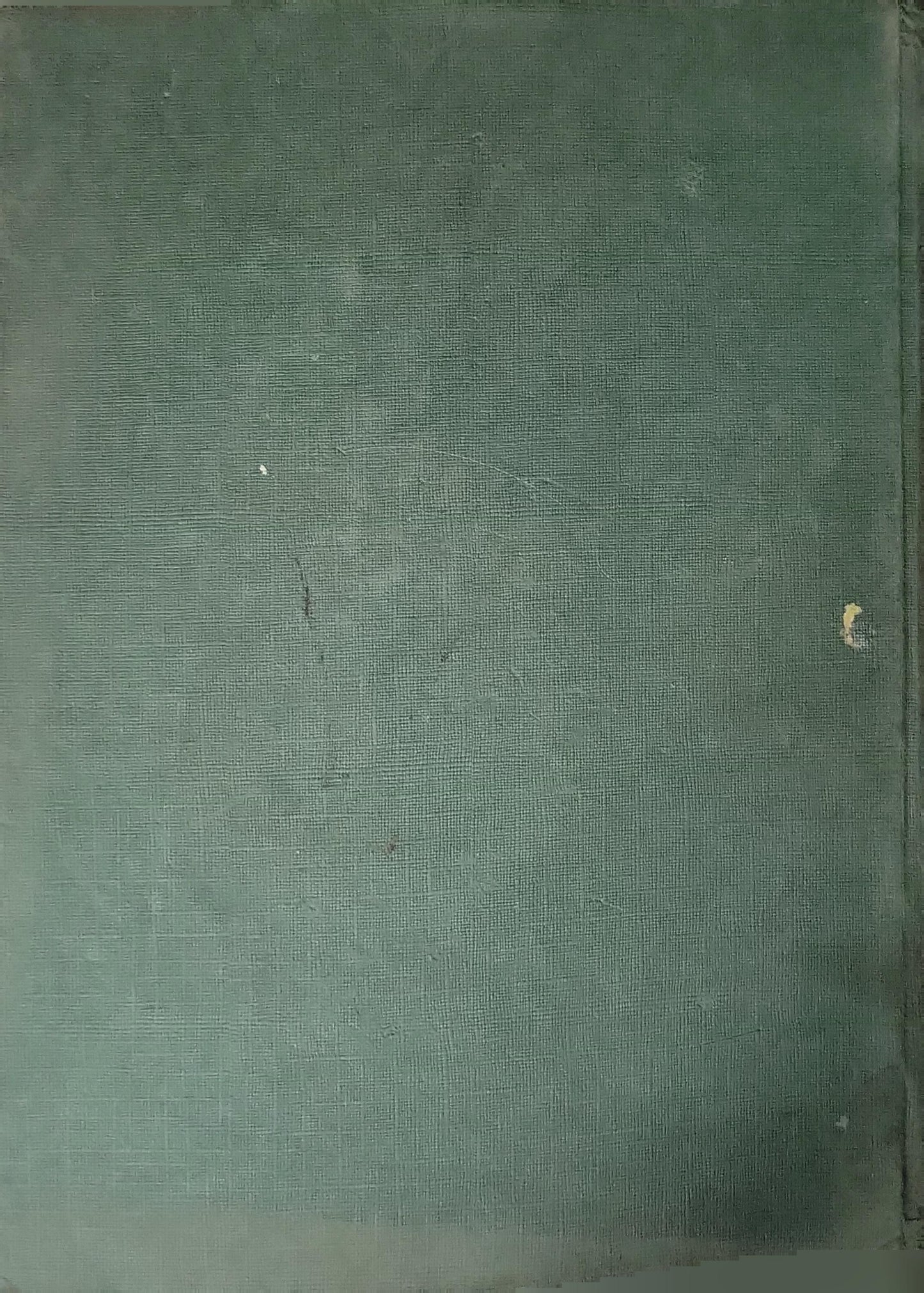 Purnell's Concise Encyclopedia In Colour: In Colour
