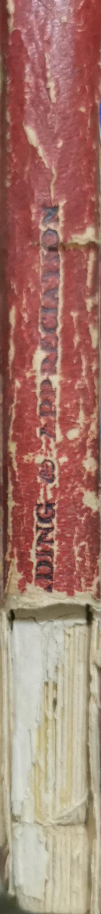 READING & APPRECIATION By Rashad Rushdy