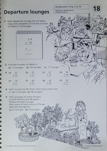 Reinforcement Sheets: Heinemann Mathematics 6