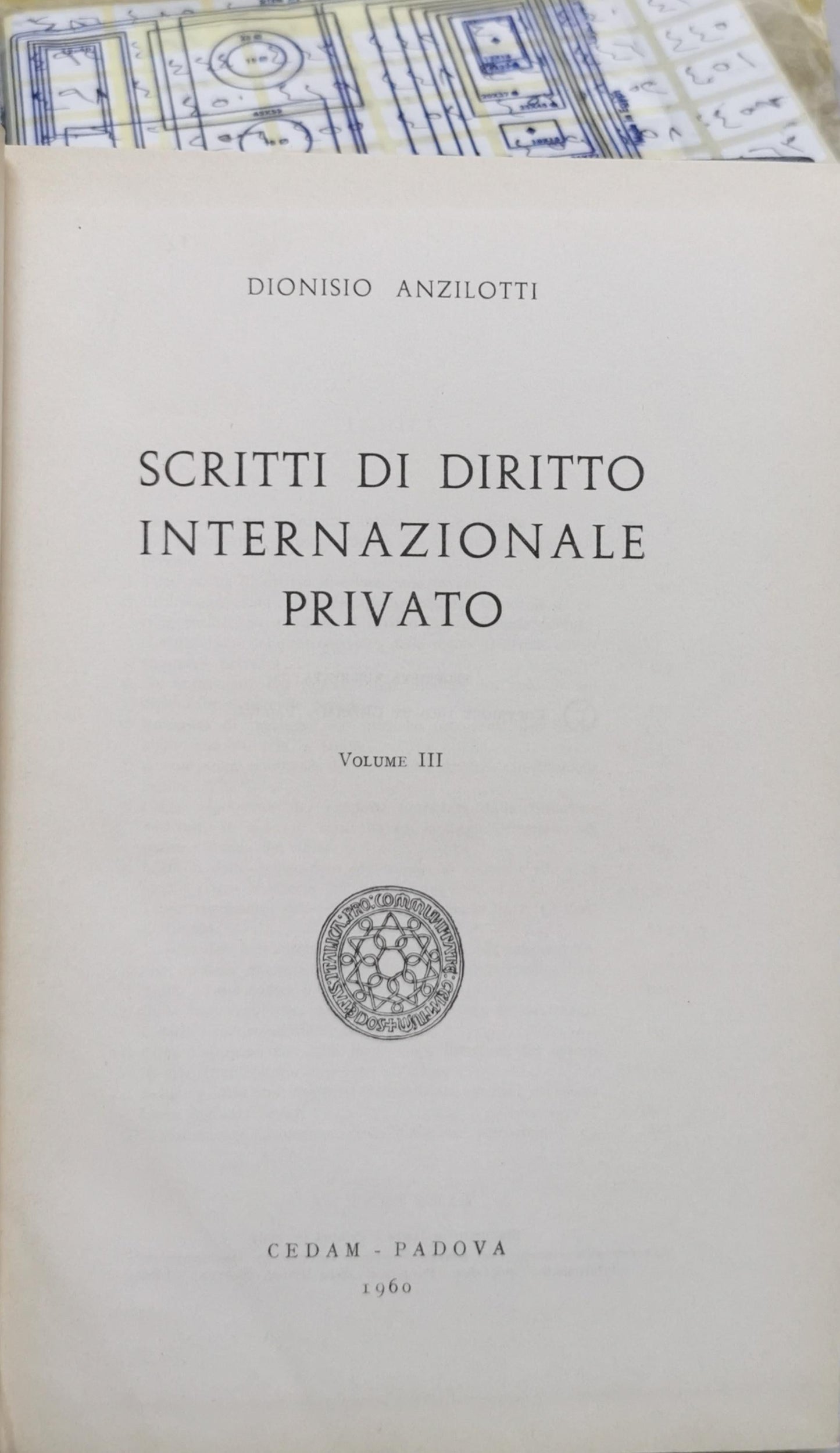 Scritti di Diritto Internazionale Privato: Opere di Dionisio Anzilotti III By Dionisio Anzilotti