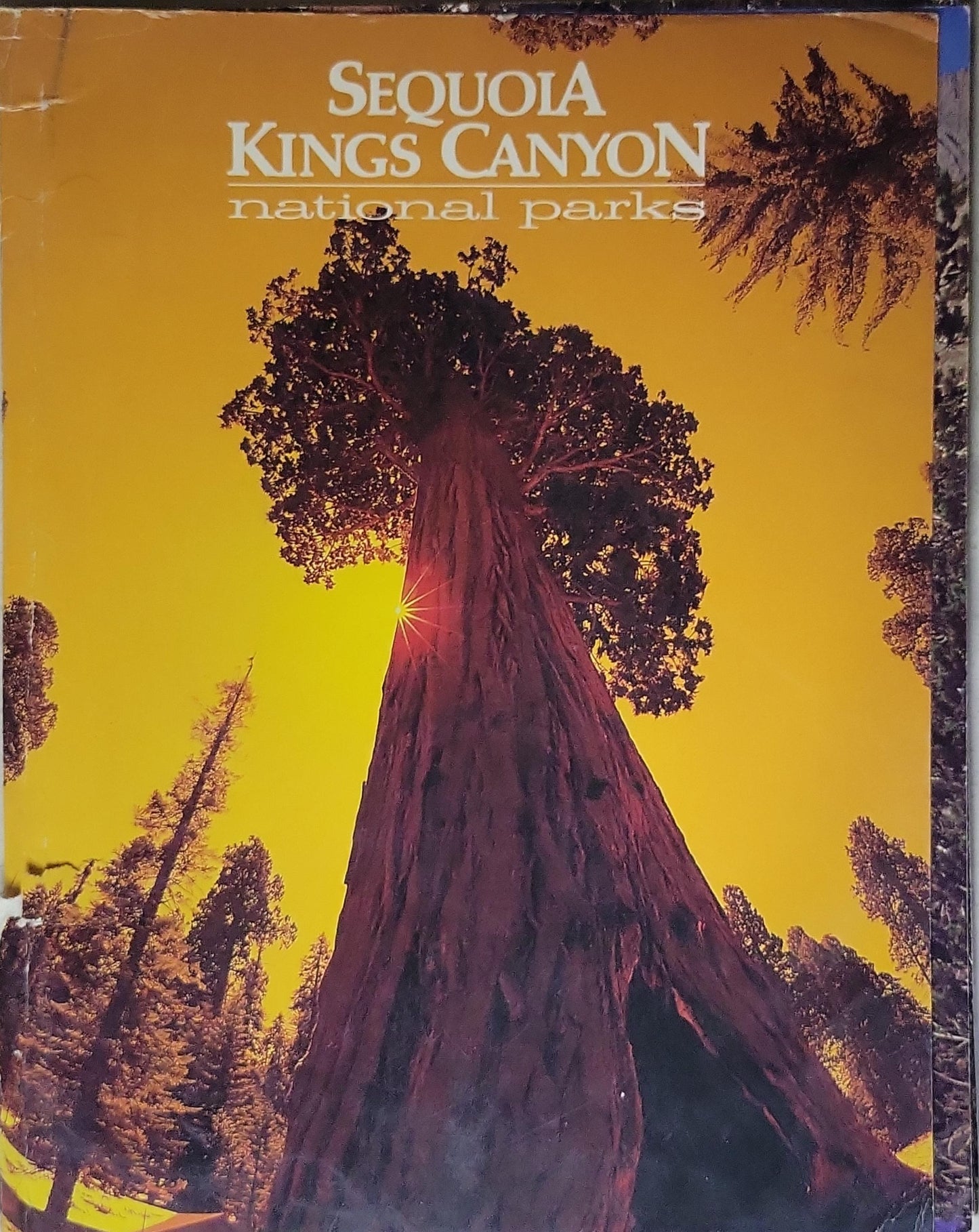 Sequoia Kings Canyon national parks