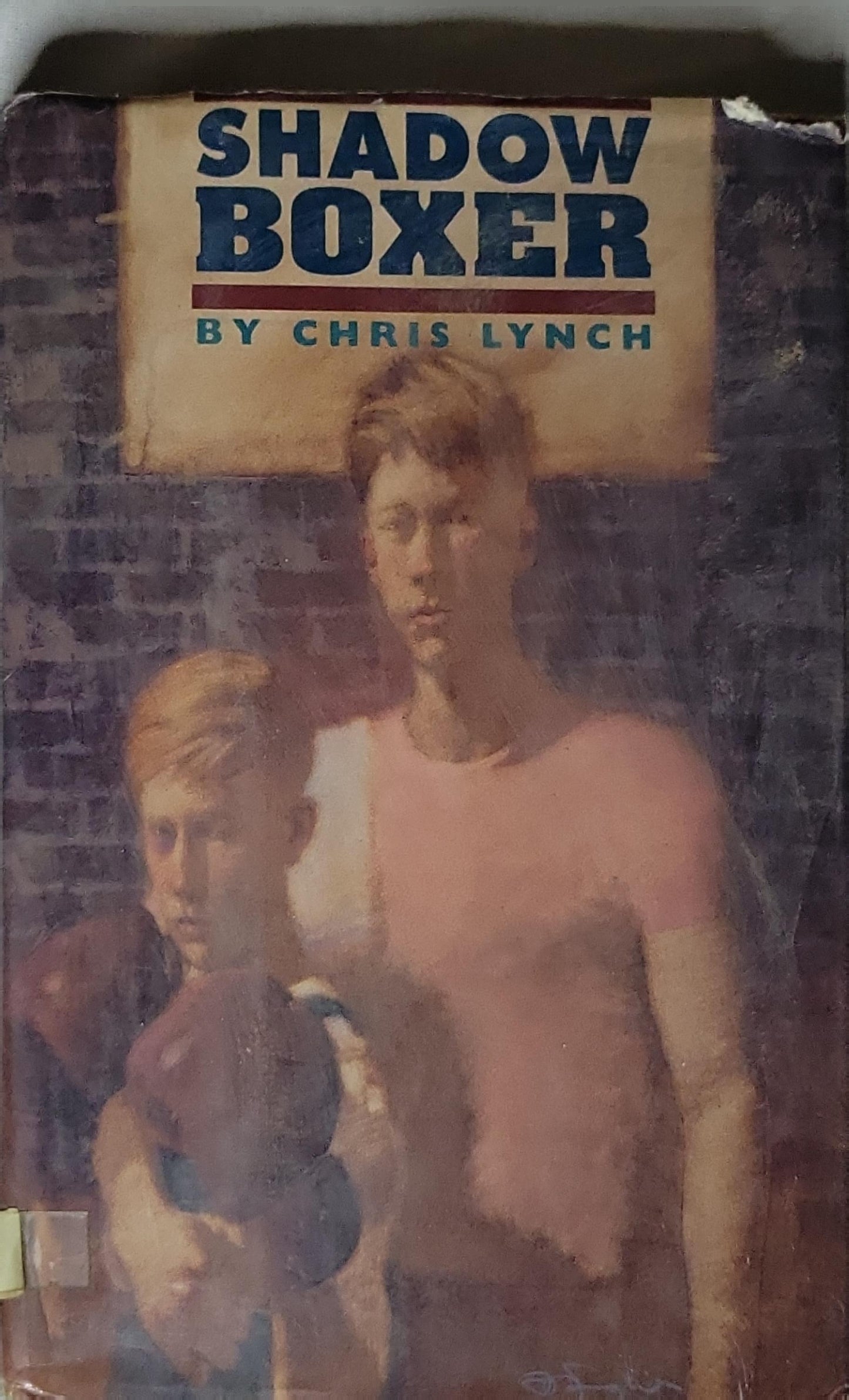 Shadow Boxer By Chris Lynch