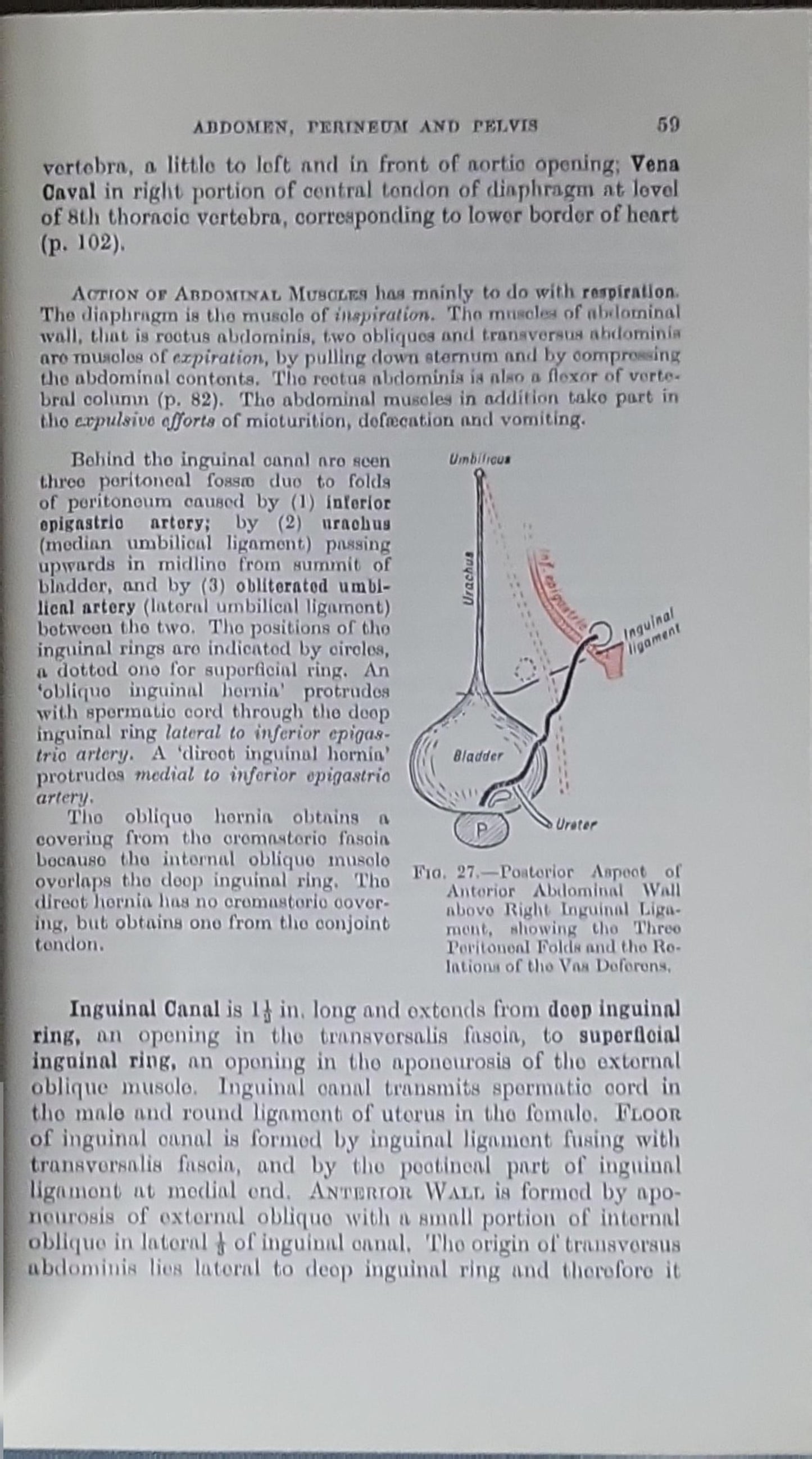 Short Manual of Regional Anatomy: Written for the Medical Student as an Aid to a Rapid Revision of the Whole Subject