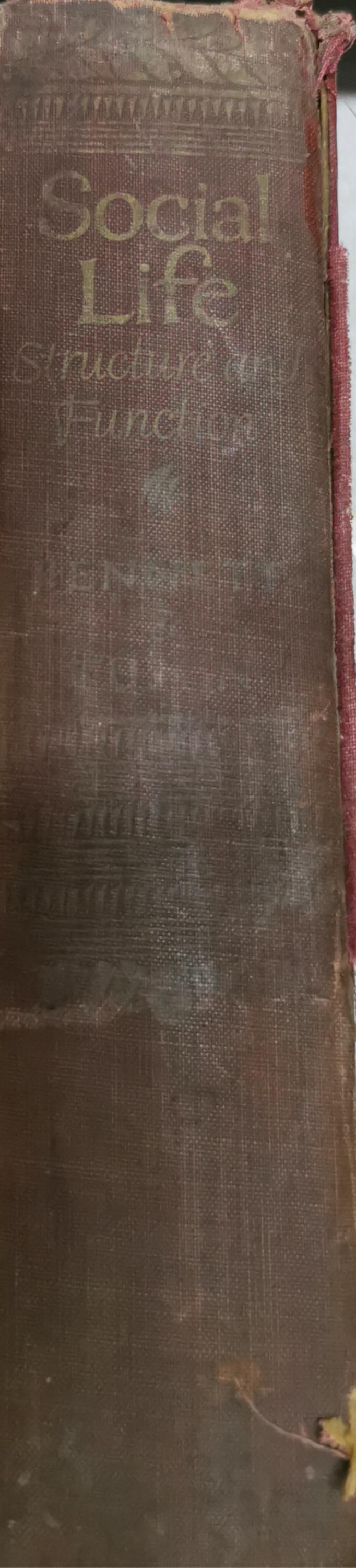 Social Life: Structure and Function By John W. Bennett and Melvin M. Tumin