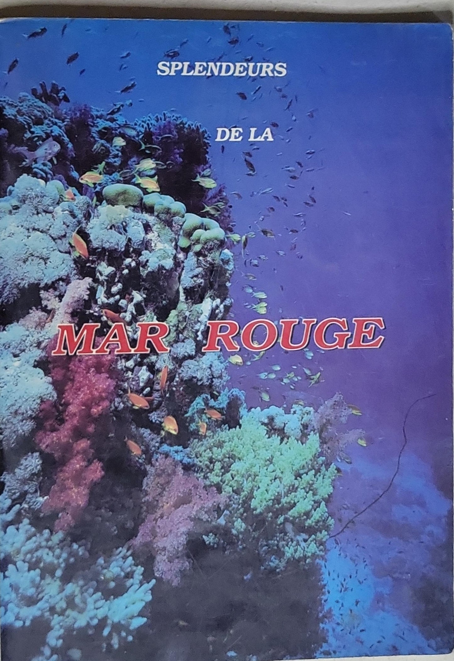 Splendeurs de la Mer Rouge
