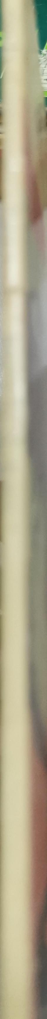 Stories of Shakespeare's Plays 1 By N. Kates