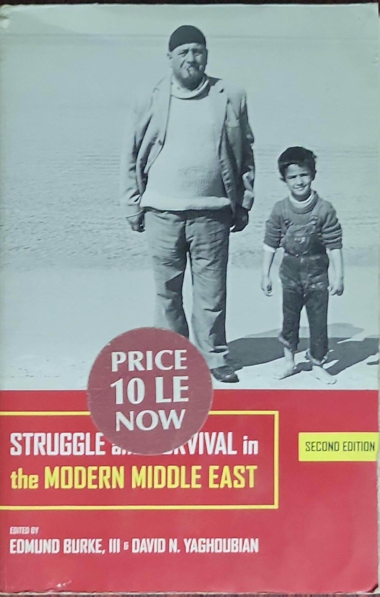 Struggle and Survival in the Modern Middle East