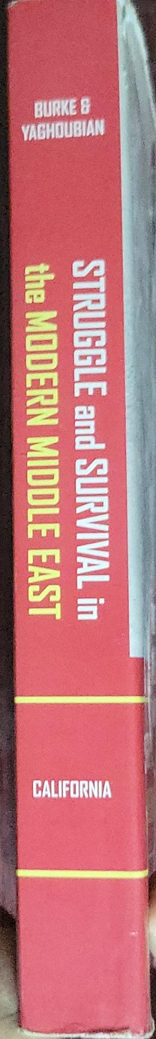 Struggle and Survival in the Modern Middle East