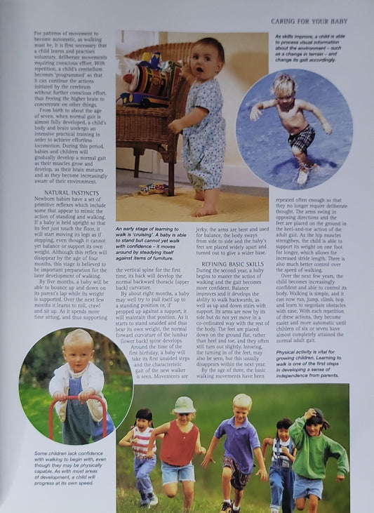 The Baby and Toddler Health Guide: An Encyclopedia of Illnesses, Causes, Symptoms and Treatments