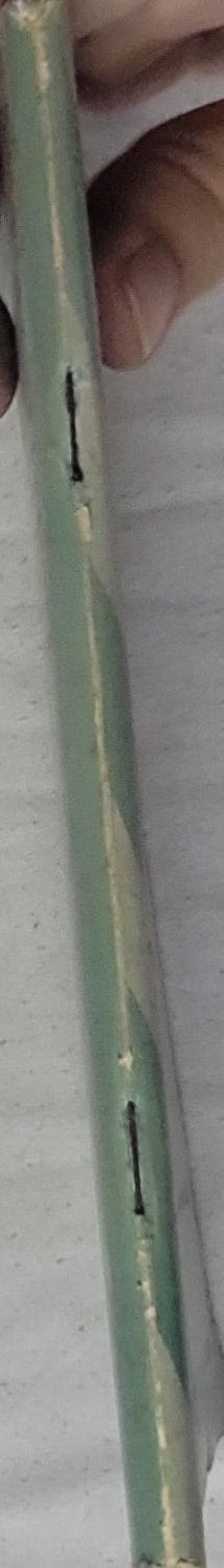 The Black Tulip