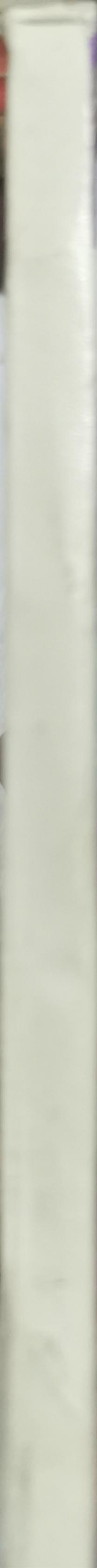 The Buffet and the Well of Wheat: Two Plays By Ali Salem and John Waterbury (Translator) and Nada R. Farag Badawi (Introduction)