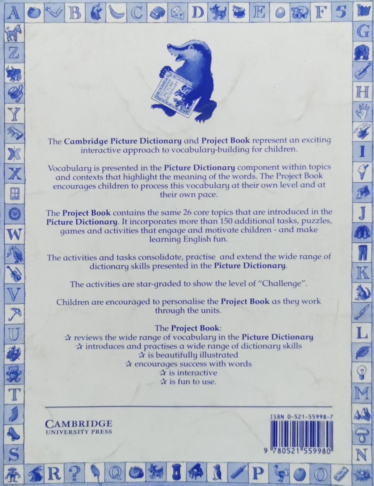 The Cambridge Picture Dictionary Project Book: Project Book By David Vale and Stephen Mullaney