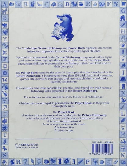 The Cambridge Picture Dictionary Project Book: Project Book By David Vale and Stephen Mullaney