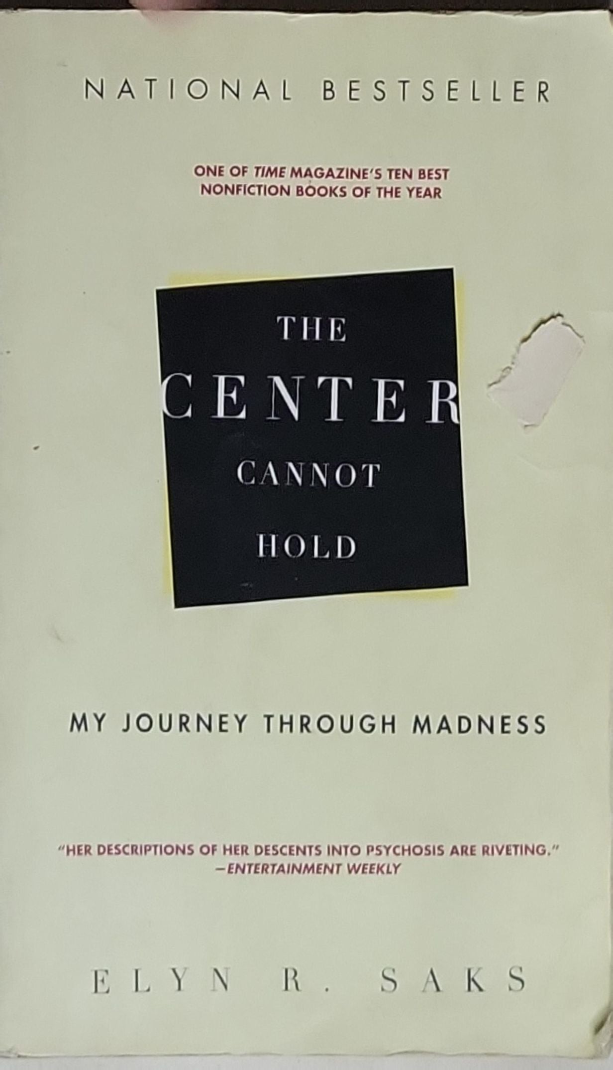 The Center Cannot Hold: My Journey Through Madness