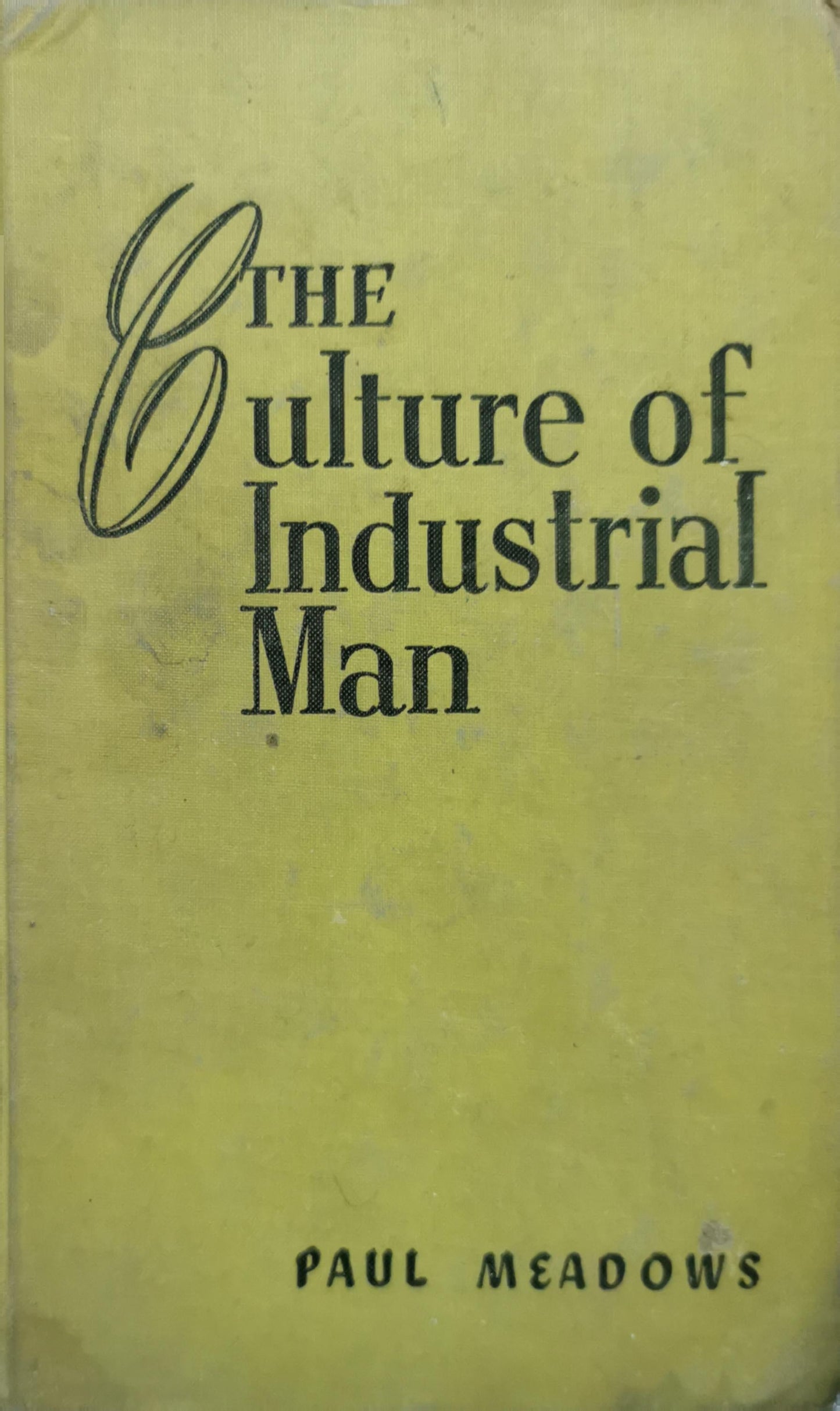 The Culture of Industrial Man By Paul Meadows