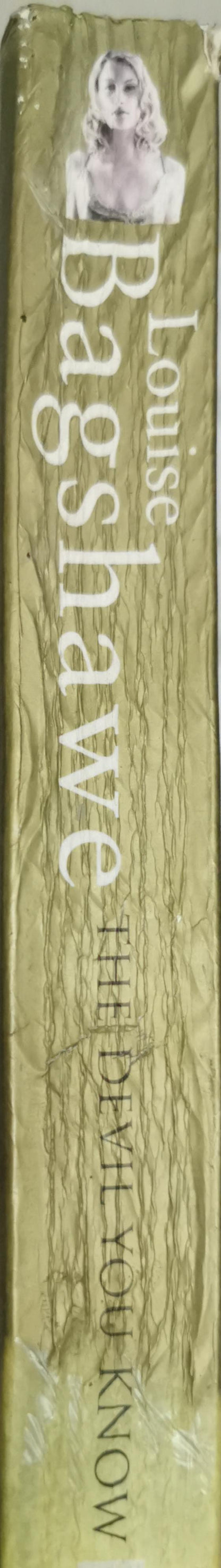 The Devil You Know By Louise Bagshawe