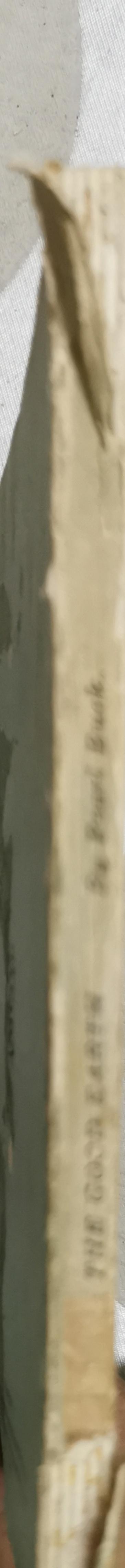 THE GOOD EARTH: New Classic Series 26. Abridged Edition By PEARL BUCK