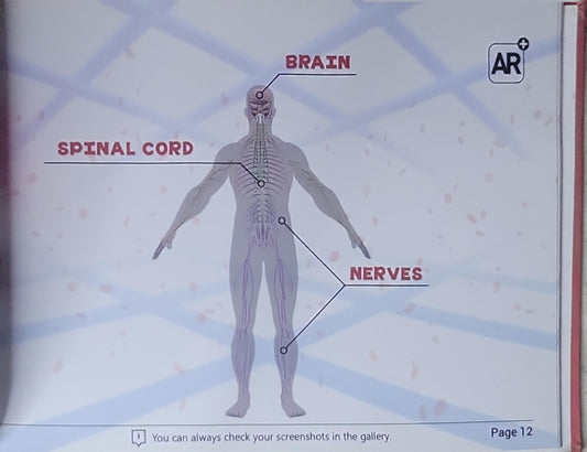 The Human Body