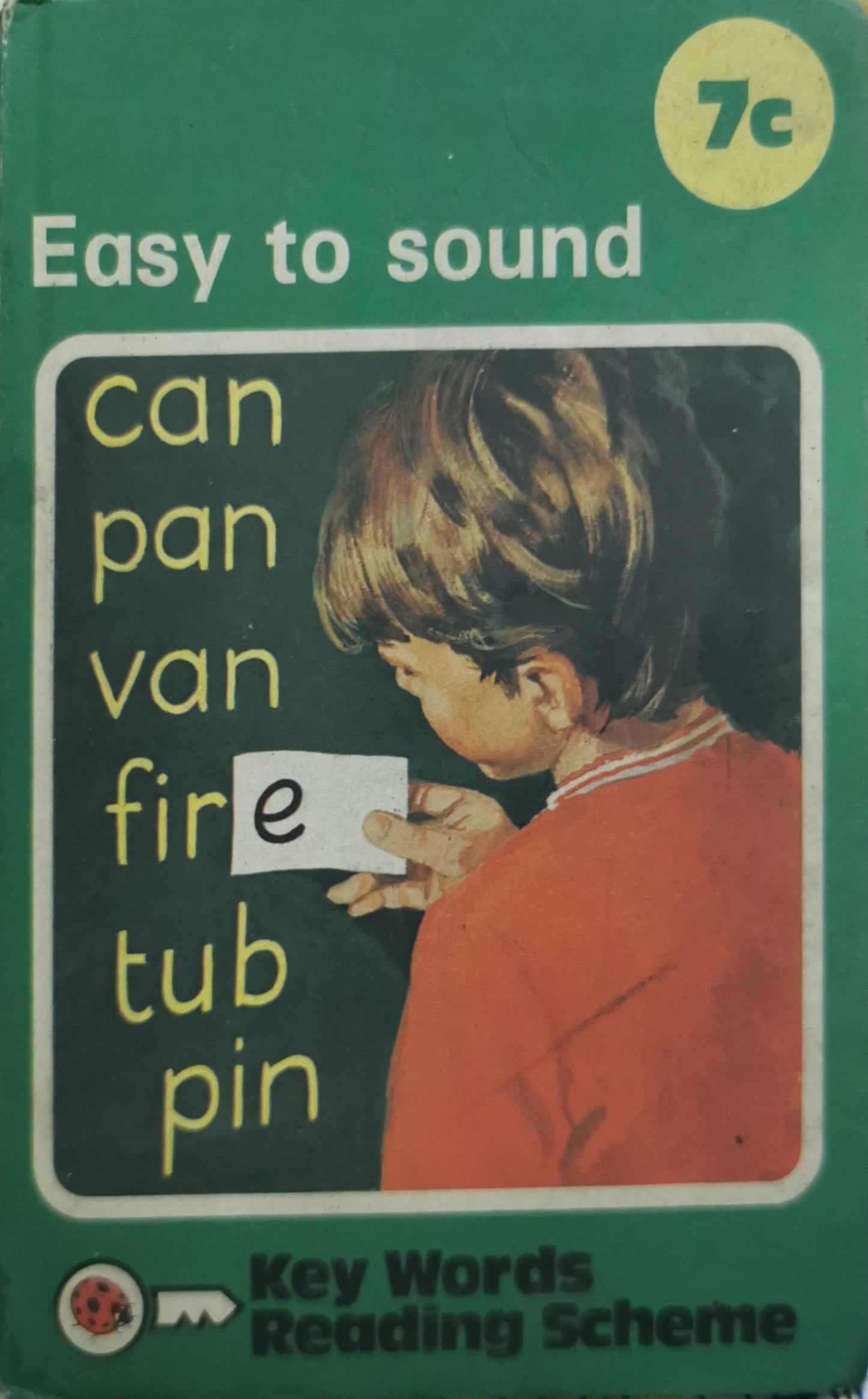 The Ladybird Key Words Reading Scheme: The Key to reading SUCCESS By Ladybird Books Ltd