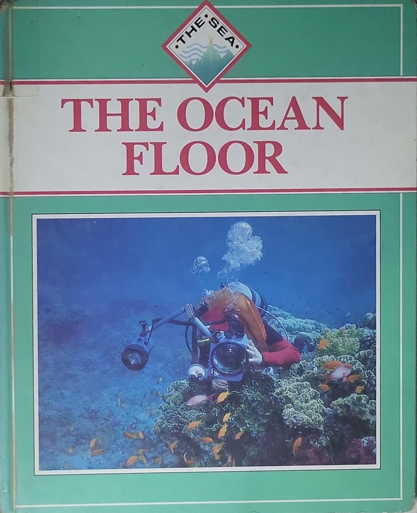 The Ocean Floor