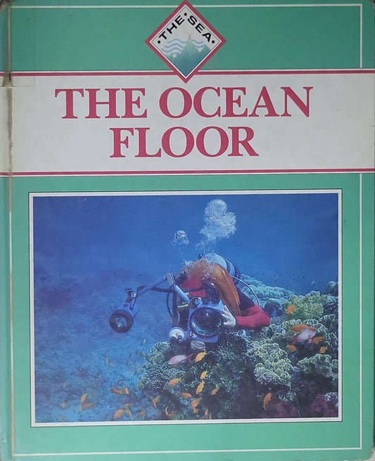 The Ocean Floor