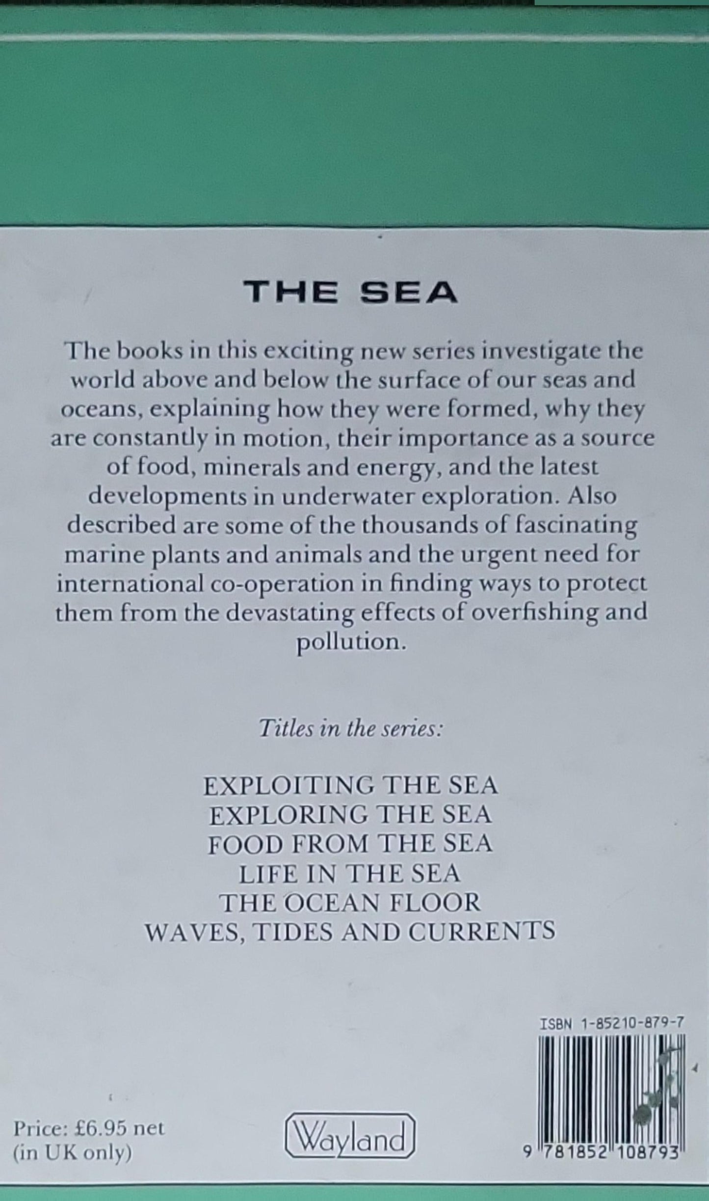 The Ocean Floor