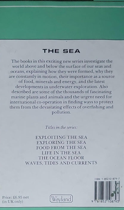 The Ocean Floor