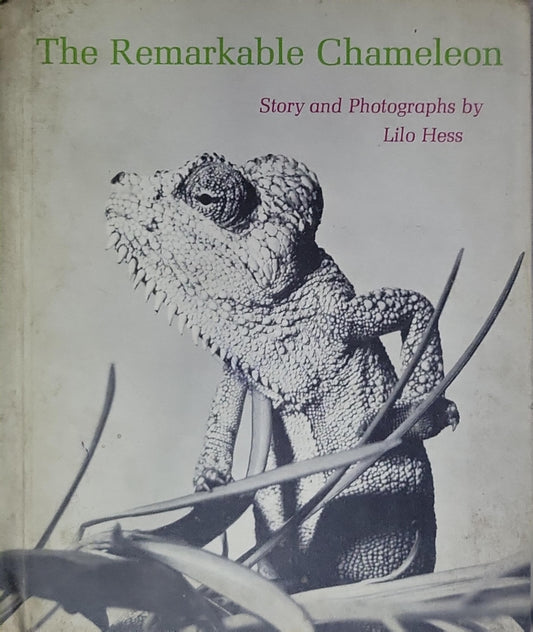 The Remarkable Chameleon