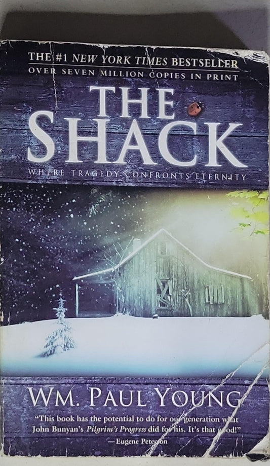 The Shack: Where Tragedy Confronts Eternity
