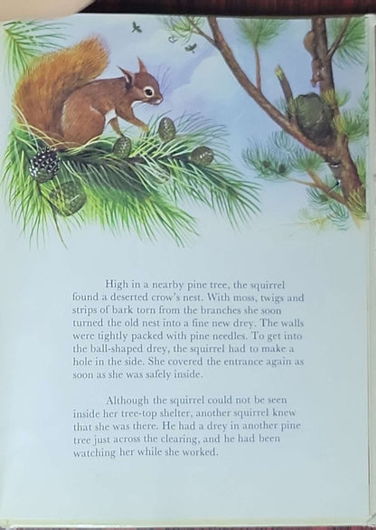 The Squirrel