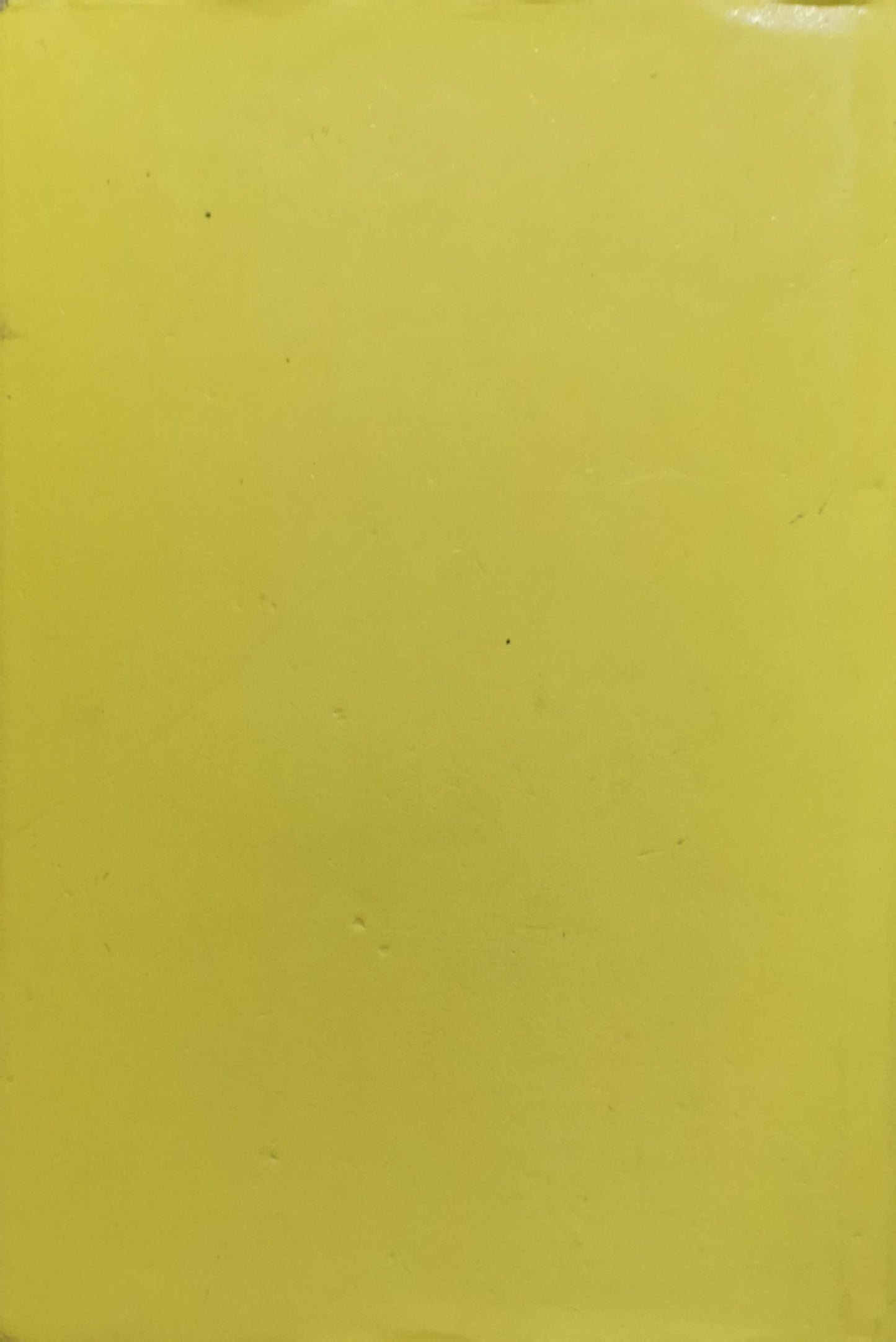 The State & Public Policies in Egypt since Sadat By Nazih N. Ayubi