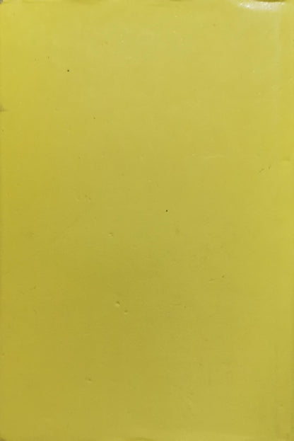 The State & Public Policies in Egypt since Sadat By Nazih N. Ayubi