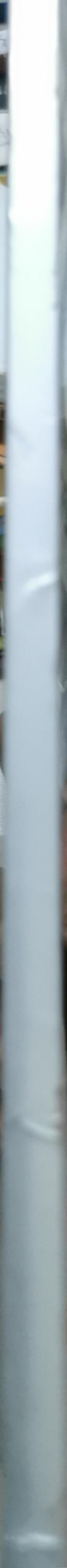 The World of Endoscopy By Karl Storz GmbH & Co.