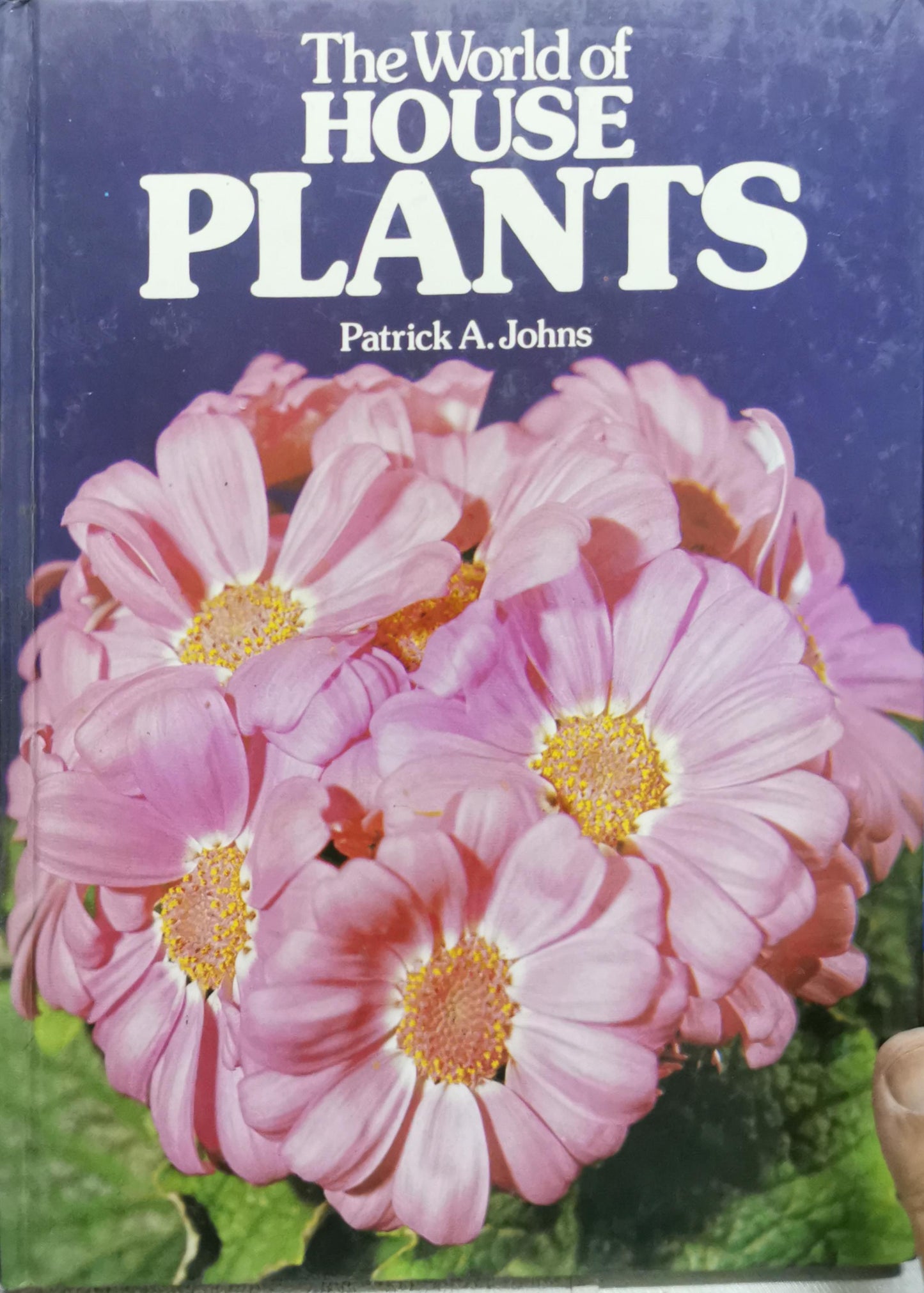 The World of House Plants By Patrick A. Johns