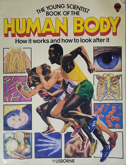 The Young Scientist Book of the Human Body: How it works and how to look after it