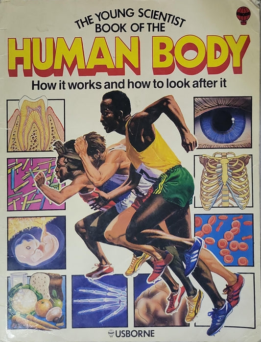 The Young Scientist Book of the Human Body: How it works and how to look after it