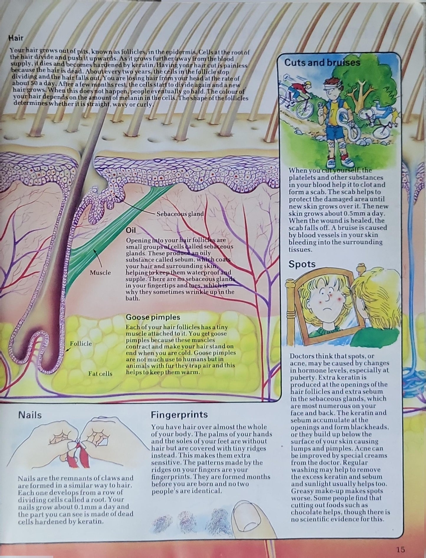 The Young Scientist Book of the Human Body: How it works and how to look after it